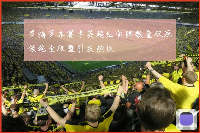 罗梅罗本赛季英超红黄牌数量双冠领跑全联盟引发热议