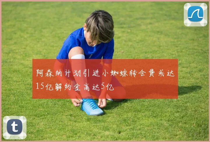 阿森纳计划引进小蜘蛛转会费或达15亿解约金高达5亿
