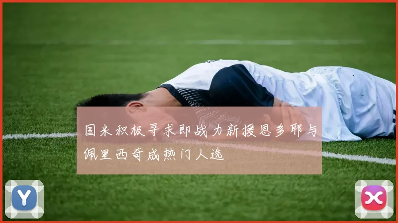 国米积极寻求即战力新援恩多耶与佩里西奇成热门人选